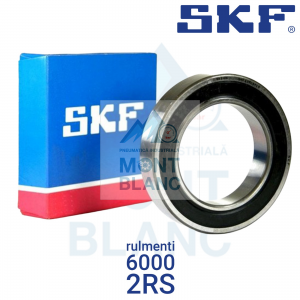 2RS SKF